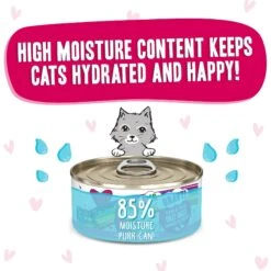 BFF OMG Dilly Dally! Tuna & Duck Flavor Wet Canned Cat Food 14 BFF OMG Dilly Dally! Tuna & Duck Flavor Wet Canned Cat Food -Blue Buffalo Shop 182247 PT3. AC SS1800 V1647911824