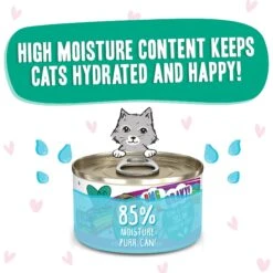 BFF OMG Tell Me! Tuna & Turkey Flavor Wet Canned Cat Food 14 BFF OMG Tell Me! Tuna & Turkey Flavor Wet Canned Cat Food -Blue Buffalo Shop 182255 PT3. AC SS1800 V1647914237