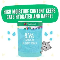 BFF OMG Text Me! Chicken & Turkey In Gravy Wet Cat Food Pouches 14 BFF OMG Text Me! Chicken & Turkey In Gravy Wet Cat Food Pouches -Blue Buffalo Shop 182282 PT3. AC SS1800 V1644903102