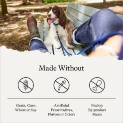 American Journey Healthy Weight Salmon & Sweet Potato Recipe Grain-Free Dry Dog Food, 24-lb Bag 17 American Journey Healthy Weight Salmon & Sweet Potato Recipe Grain-Free Dry Dog Food, 24-lb Bag -Blue Buffalo Shop 183120 PT6. AC SS1800 V1680545290