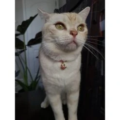 Necoichi Chirimen Sakura Breakaway Cat Collar With Bell -Blue Buffalo Shop 183473 PT3. AC SS1800 V1644903139