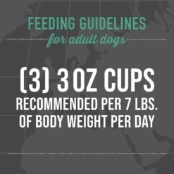 Tiki Dog Taste Of Italy Chicken, Pasta & Carbonara Recipe In Broth Wet Dog Food, 3-oz Cup, Case Of 4 -Blue Buffalo Shop 186333 PT7. AC SS1800 V1631198818