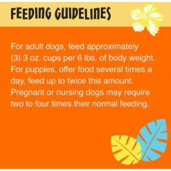 Tiki Dog Meaty High Protein Diet Chicken Recipe In Broth Grain-Free Wet Dog Food, 3-oz Cup, Case Of 4 -Blue Buffalo Shop 186343 PT6. AC SS1800 V1565099588
