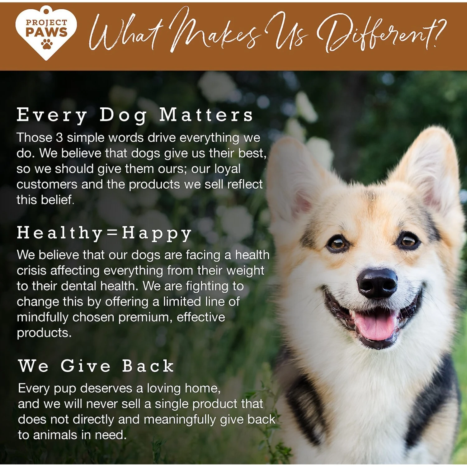 Project Paws Premium Grade Bone Broth Dog Powder Supplement Food Topper 8 Project Paws Premium Grade Bone Broth Dog Powder Supplement Food Topper - Image 6