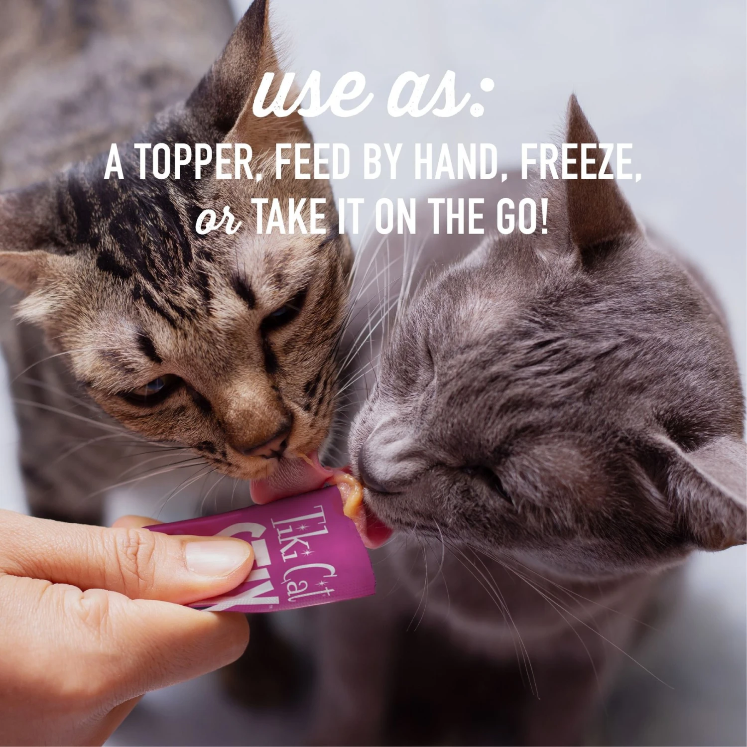 Tiki Cat Stix Chicken Grain-Free Cat Food Topper 8 Tiki Cat Stix Chicken Grain-Free Cat Food Topper - Image 6