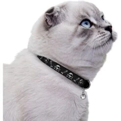 CollarDirect Skull Breakaway Buckle Cat Collar -Blue Buffalo Shop 190203 PT2. AC SS1800 V1565042576