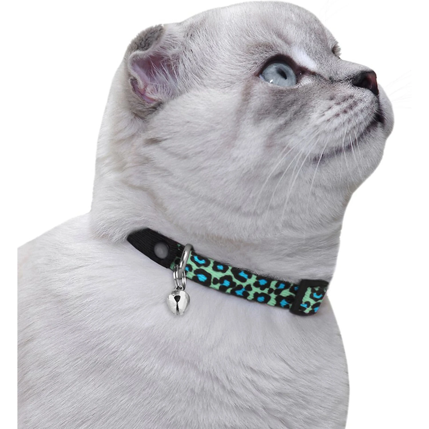 CollarDirect Leopard Breakaway Buckle Cat Collar 5 CollarDirect Leopard Breakaway Buckle Cat Collar - Image 3