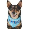 Frisco Pawtriot Dog & Cat Bandana -Blue Buffalo Shop 191277 Main. AC SS1800 V1584623866