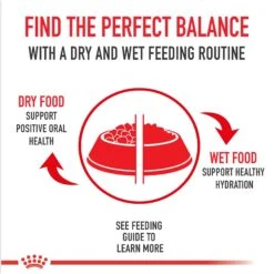 Royal Canin Canine Care Nutrition Sensitive Skin Care Loaf In Sauce Canned Dog Food, 13.5-oz, Case Of 12 -Blue Buffalo Shop 191979 PT5. AC SS1800 V1696538542