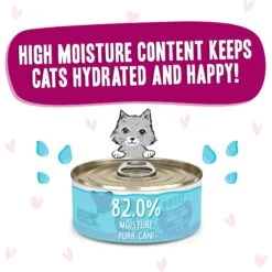 BFF Play Pate Lovers Tuna & Duck Double Dare Wet Cat Food -Blue Buffalo Shop 192241 PT3. AC SS1800 V1649713296