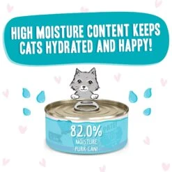 BFF Play Pate Lovers Tuna & Turkey T.T.Y.L. Wet Cat Food 14 BFF Play Pate Lovers Tuna & Turkey T.T.Y.L. Wet Cat Food -Blue Buffalo Shop 192244 PT3. AC SS1800 V1657656135