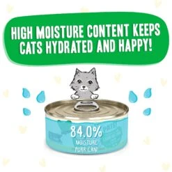 BFF Play Pate Lovers Chicken & Lamb Laugh Out Loud Wet Cat Food -Blue Buffalo Shop 192292 PT3. AC SS1800 V1649720497