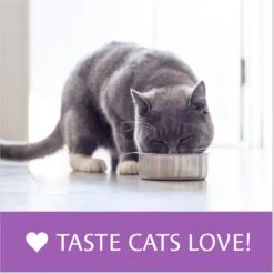 Atta Cat Chicken & Salmon Flavor Dry Cat Food -Blue Buffalo Shop 196201 PT8. AC SS1800 V1612827723