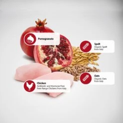 Farmina N&D Ancestral Grain Chicken & Pomegranate Medium & Maxi Senior Dry Dog Food -Blue Buffalo Shop 196213 PT4. AC SS1800 V1591128163