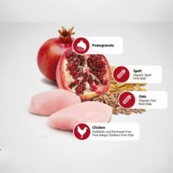 Farmina N&D Ancestral Grain Chicken & Pomegranate Mini Light Dry Dog Food -Blue Buffalo Shop 196215 PT4. AC SS1800 V1591128357