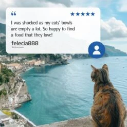 Farmina N&D Ocean Codfish, Spelt, Oats & Orange Adult Dry Cat Food -Blue Buffalo Shop 196219 PT7. AC SS1800 V1679329587