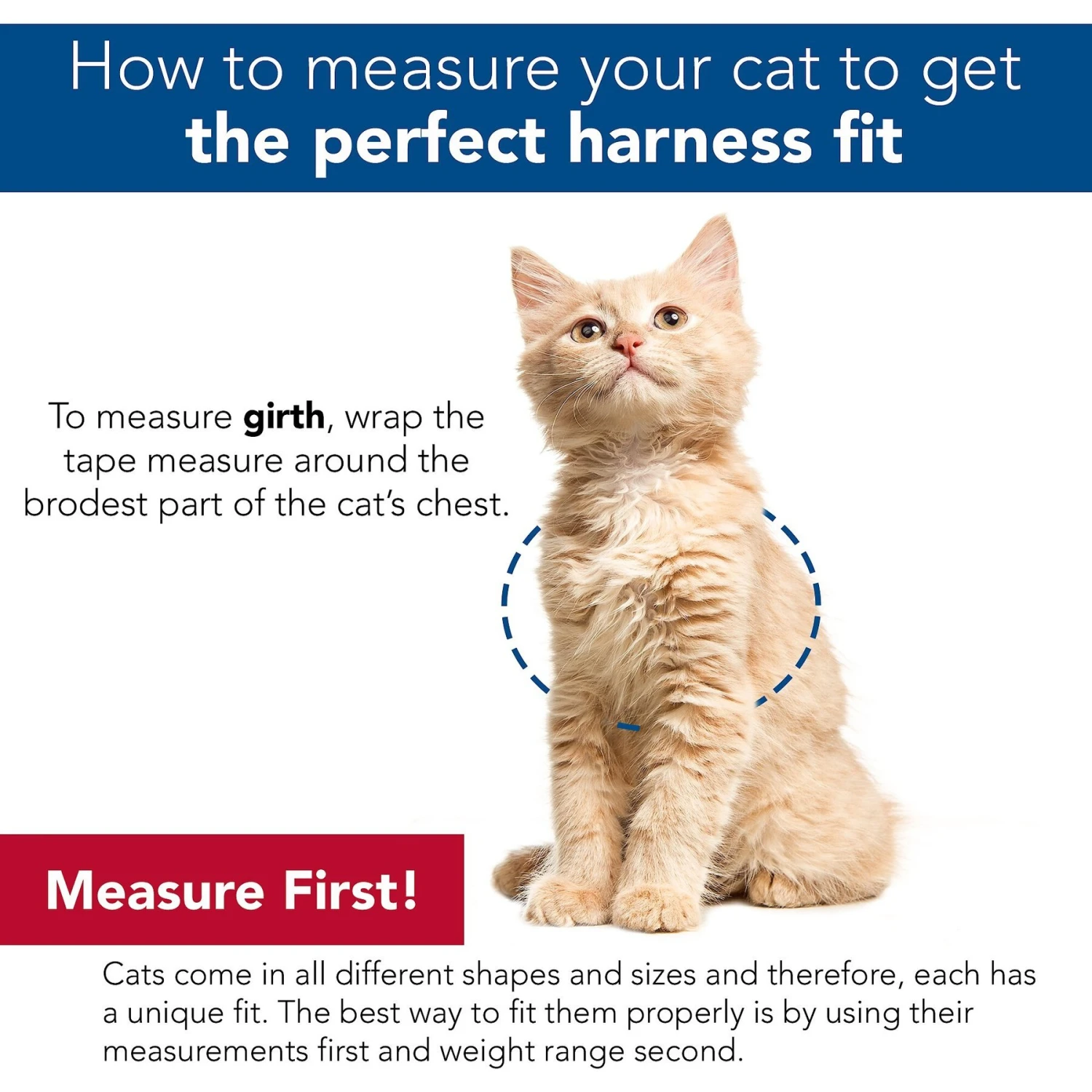 Comfort Soft Mesh Cat Harness & Leash 6 Comfort Soft Mesh Cat Harness & Leash - Image 4