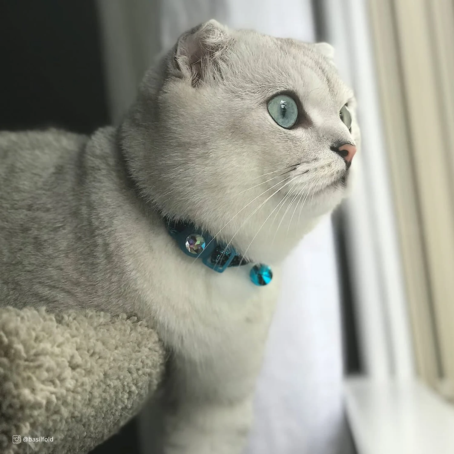 Safe Cat Jeweled Glitter Polyester Breakaway Cat Collar With Bell 5 Safe Cat Jeweled Glitter Polyester Breakaway Cat Collar With Bell - Image 3