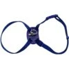 Size Right Snag-Proof Adjustable Cat Harness -Blue Buffalo Shop 202156 MAIN. AC SS1800 V1569349326