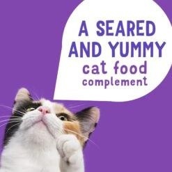 Friskies Lil' Grillers Seared Cuts With Turkey In Gravy Wet Cat Food, 1.55-oz Pouches, Case Of 16 14 Friskies Lil' Grillers Seared Cuts With Turkey In Gravy Wet Cat Food, 1.55-oz Pouches, Case Of 16 -Blue Buffalo Shop 202279 PT3. AC SS1800 V1695923364