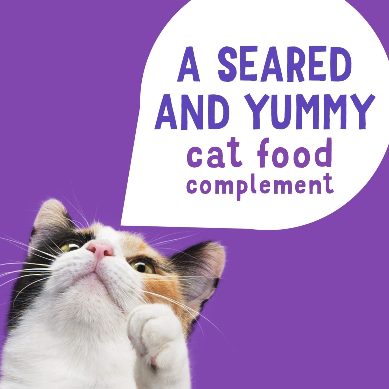 Friskies Lil' Grillers Seared Cuts With Turkey In Gravy Wet Cat Food, 1.55-oz Pouches, Case Of 16 6 Friskies Lil' Grillers Seared Cuts With Turkey In Gravy Wet Cat Food, 1.55-oz Pouches, Case Of 16 - Image 4