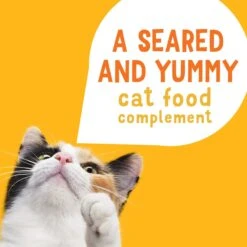 Friskies Lil' Grillers Seared Cuts With Chicken In Gravy Wet Cat Food,1.55-oz Pouches, Case Of 16 -Blue Buffalo Shop 202281 PT3. AC SS1800 V1695744389