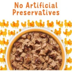 Friskies Lil' Grillers Seared Cuts With Chicken In Gravy Wet Cat Food,1.55-oz Pouches, Case Of 16 -Blue Buffalo Shop 202281 PT6. AC SS1800 V1695735246