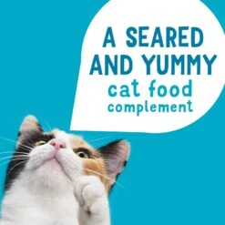 Friskies Lil' Grillers Seared Cuts With Tuna In Gravy Wet Cat Food, 1.55-oz Pouches, Case Of 16 -Blue Buffalo Shop 202285 PT3. AC SS1800 V1695744387