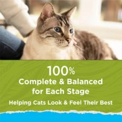 Cat Chow Naturals Indoor With Real Chicken & Turkey Dry Cat Food 17 Cat Chow Naturals Indoor With Real Chicken & Turkey Dry Cat Food -Blue Buffalo Shop 202717 PT6. AC SS1800 V1695845947