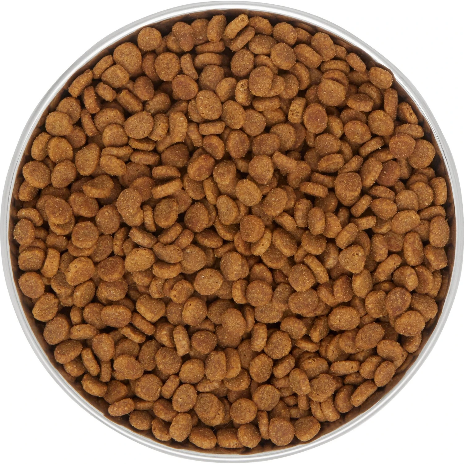 Frisco Saucer Cat Bowl 7 Frisco Saucer Cat Bowl - Image 5