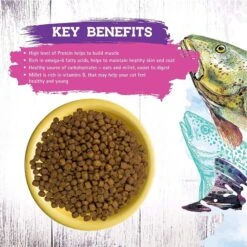 Inception Fish Recipe Dry Cat Food -Blue Buffalo Shop 205306 PT5. AC SS1800 V1642563707