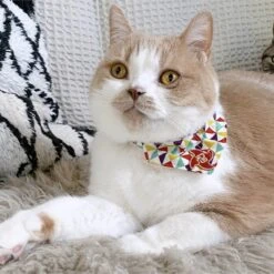 Necoichi Ninja Bandana Cotton Breakaway Cat Collar With Bell -Blue Buffalo Shop 205972 PT8. AC SS1800 V1627495583