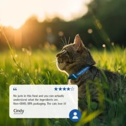 Farmina N&D Prime Chicken & Pomegranate Recipe Neutered Adult Cat Dry Food -Blue Buffalo Shop 207637 PT7. AC SS1800 V1680640374