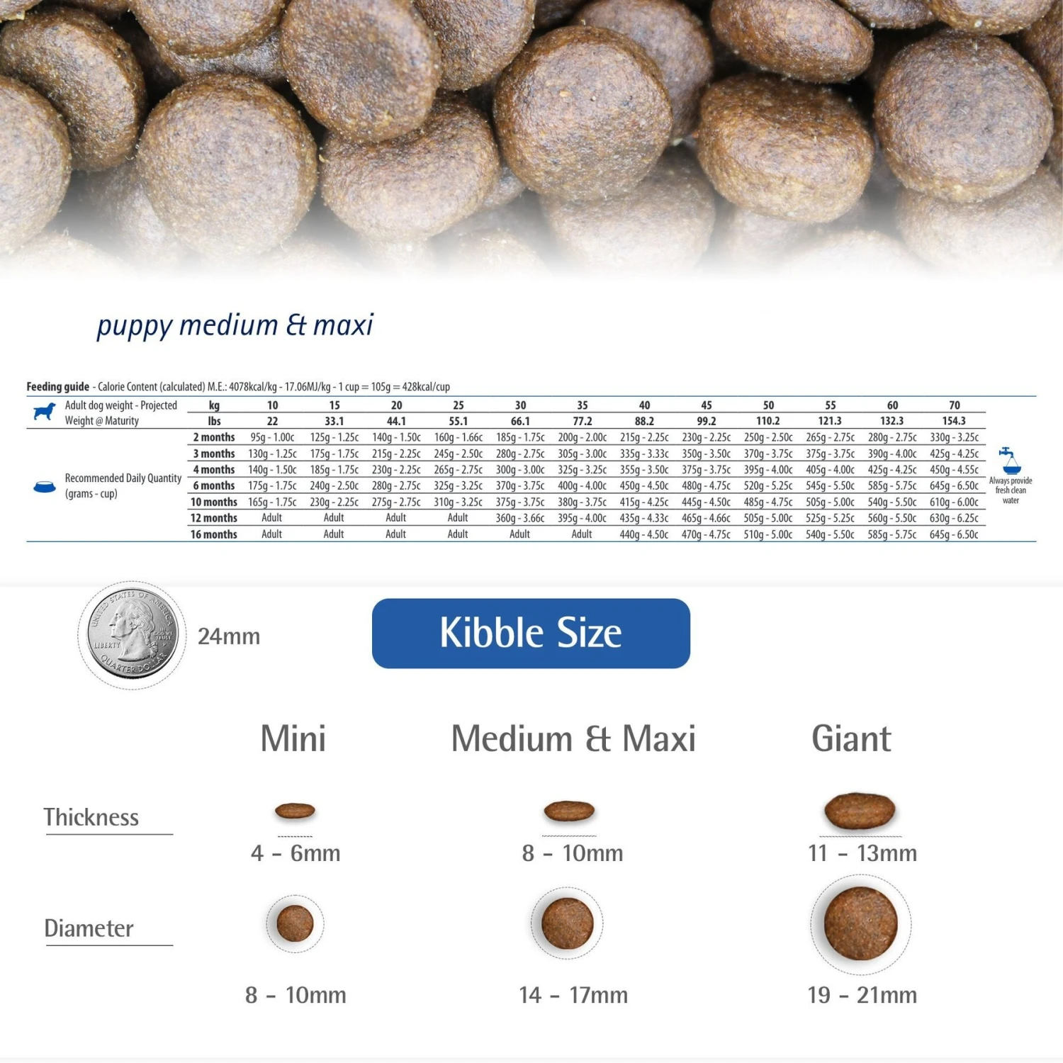 Farmina N&D Ancestral Grain Lamb & Blueberry Recipe Puppy Medium & Maxi Dry Dog Food 6 Farmina N&D Ancestral Grain Lamb & Blueberry Recipe Puppy Medium & Maxi Dry Dog Food - Image 4