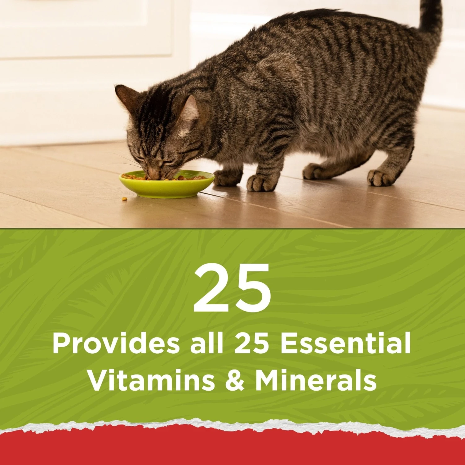 Purina Cat Chow Naturals Original With Added Vitamins, Minerals & Nutrients Dry Cat Food 6 Purina Cat Chow Naturals Original With Added Vitamins, Minerals & Nutrients Dry Cat Food - Image 4