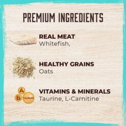 Inception Fish Recipe Canned Dog Food, 13-oz, Case Of 12 -Blue Buffalo Shop 213548 PT2. AC SS1800 V1642607213