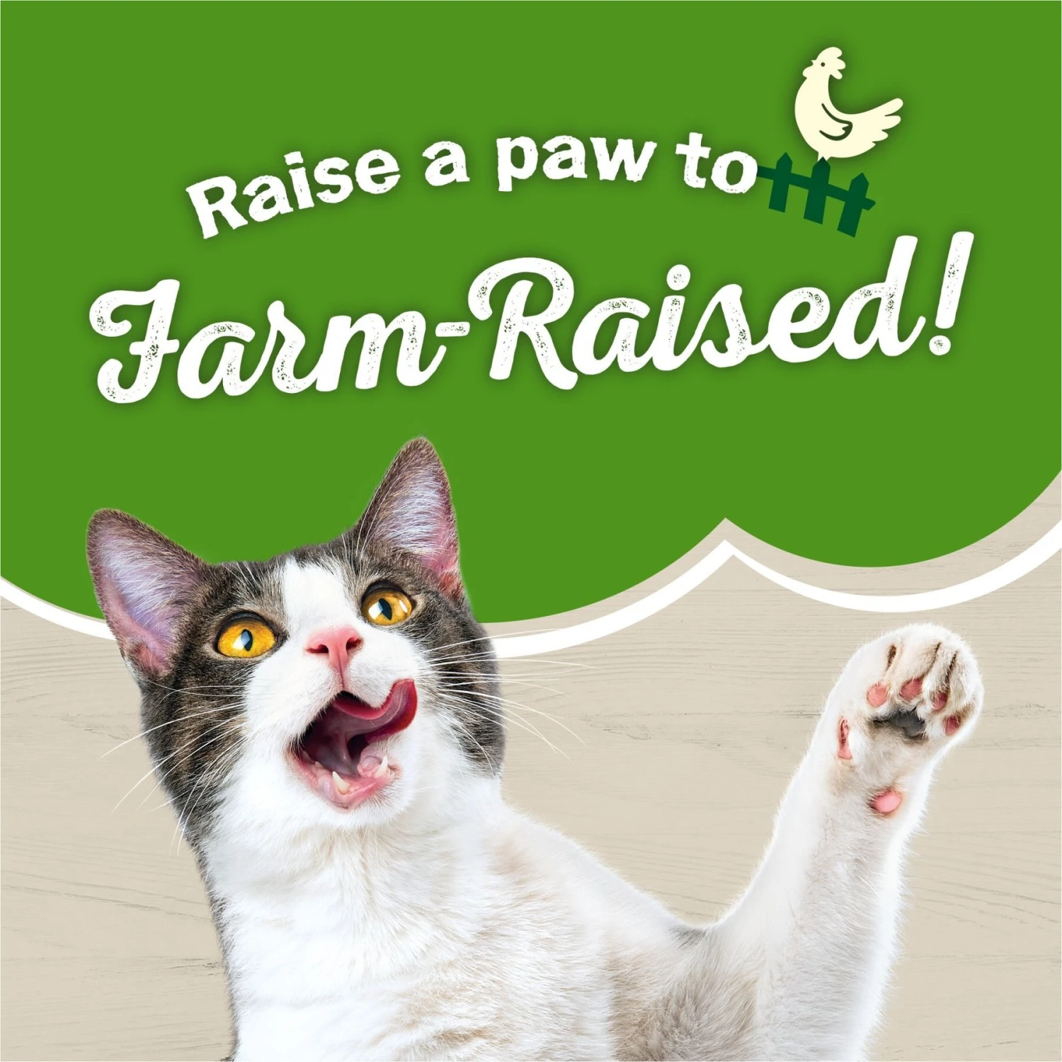 Purina Friskies Farm Favorites With Chicken Dry Cat Food 6 Purina Friskies Farm Favorites With Chicken Dry Cat Food - Image 4