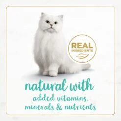 Fancy Feast Gourmet Naturals Ocean Whitefish Recipe Grain-Free Pate Canned Cat Food, 3-oz Can, Case Of 12 14 Fancy Feast Gourmet Naturals Ocean Whitefish Recipe Grain-Free Pate Canned Cat Food, 3-oz Can, Case Of 12 -Blue Buffalo Shop 214799 PT3. AC SS1800 V1677102858