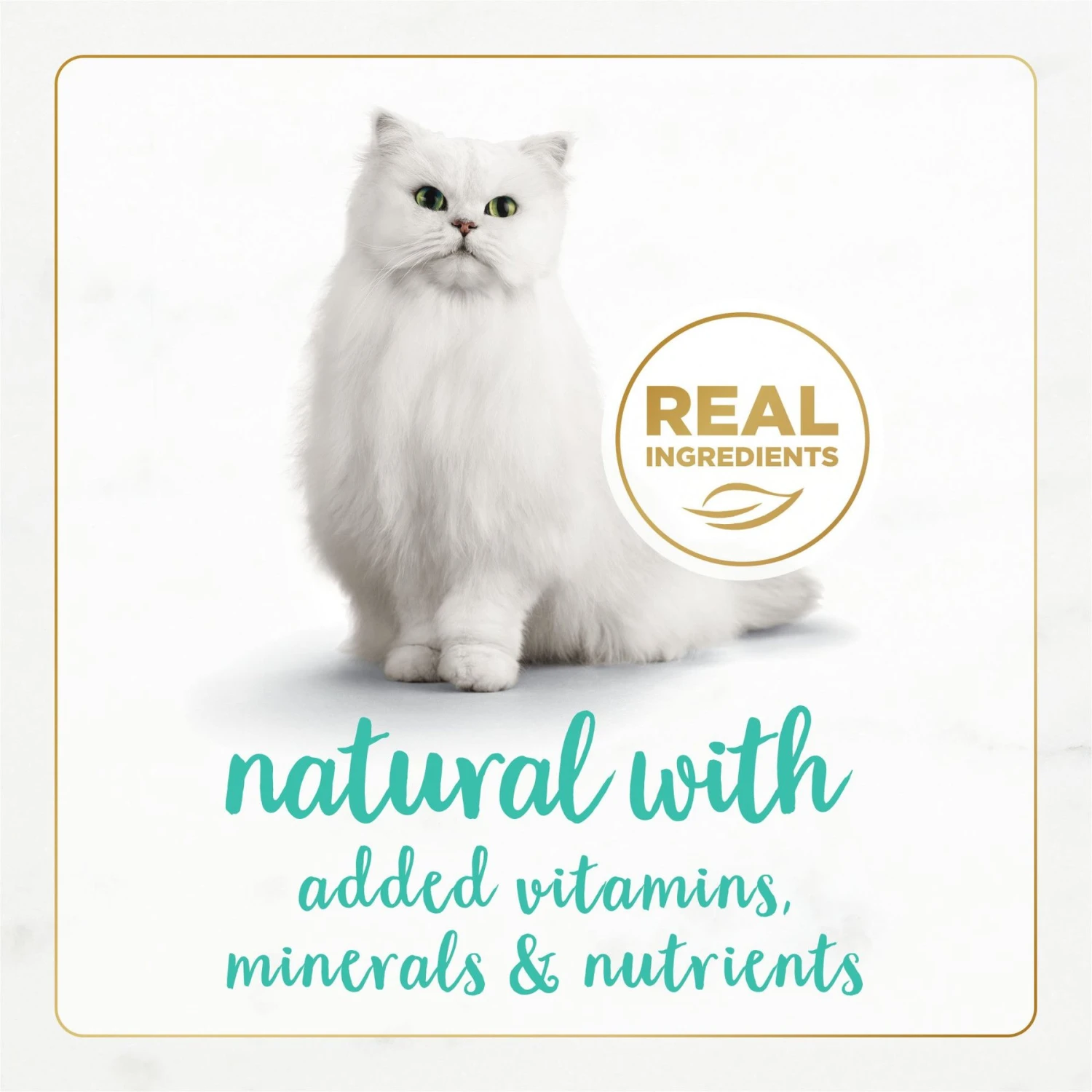 Fancy Feast Gourmet Naturals Ocean Whitefish Recipe Grain-Free Pate Canned Cat Food, 3-oz Can, Case Of 12 6 Fancy Feast Gourmet Naturals Ocean Whitefish Recipe Grain-Free Pate Canned Cat Food, 3-oz Can, Case Of 12 - Image 4