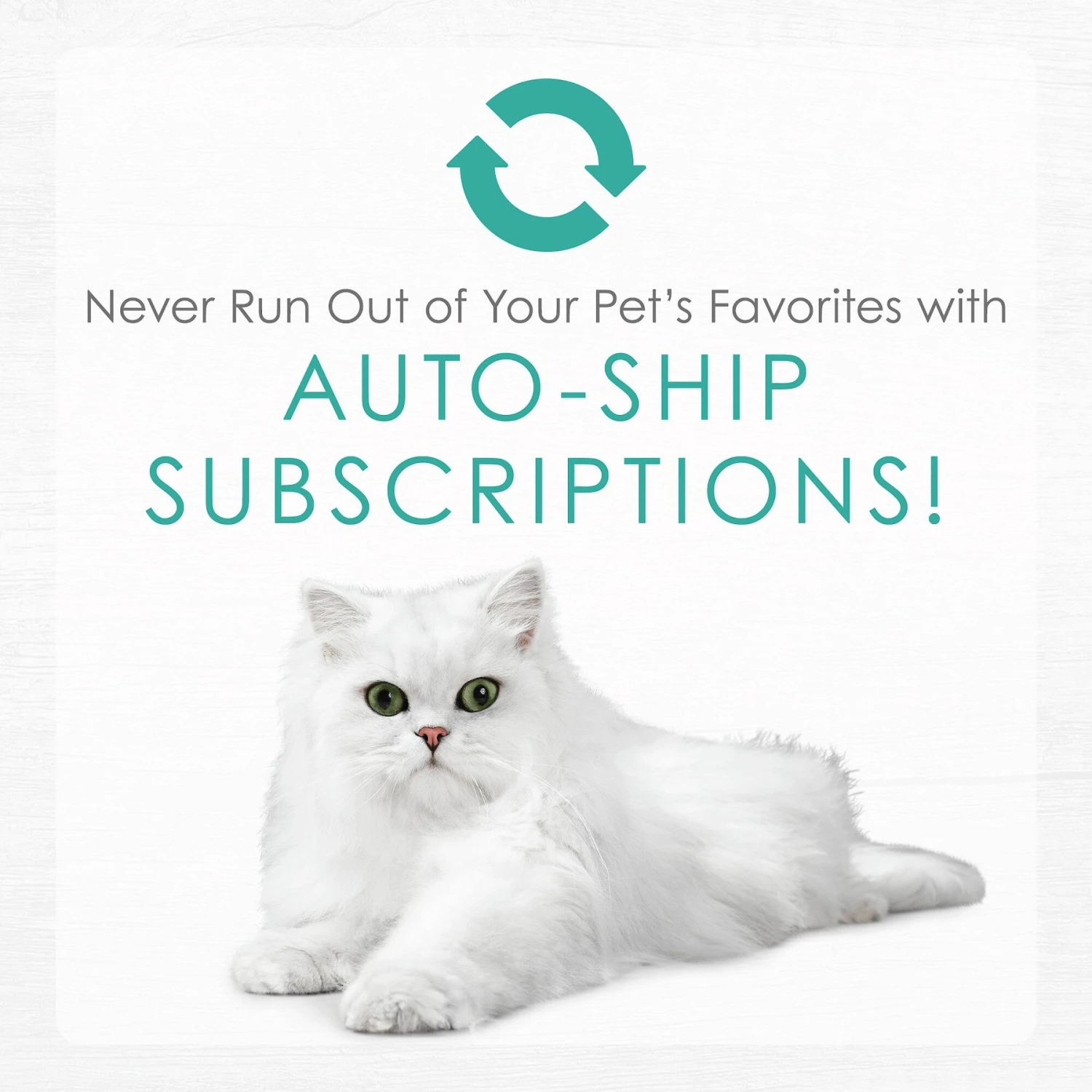 Fancy Feast Gourmet Naturals Ocean Whitefish Recipe Grain-Free Pate Canned Cat Food, 3-oz Can, Case Of 12 11 Fancy Feast Gourmet Naturals Ocean Whitefish Recipe Grain-Free Pate Canned Cat Food, 3-oz Can, Case Of 12 - Image 9