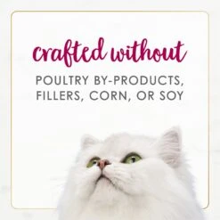 Fancy Feast Gourmet Naturals Natural White Meat Chicken & Beef Recipe In Gravy Canned Cat Food, 3-oz Can, Case Of 12 17 Fancy Feast Gourmet Naturals Natural White Meat Chicken & Beef Recipe In Gravy Canned Cat Food, 3-oz Can, Case Of 12 -Blue Buffalo Shop 214805 PT6. AC SS1800 V1677102920