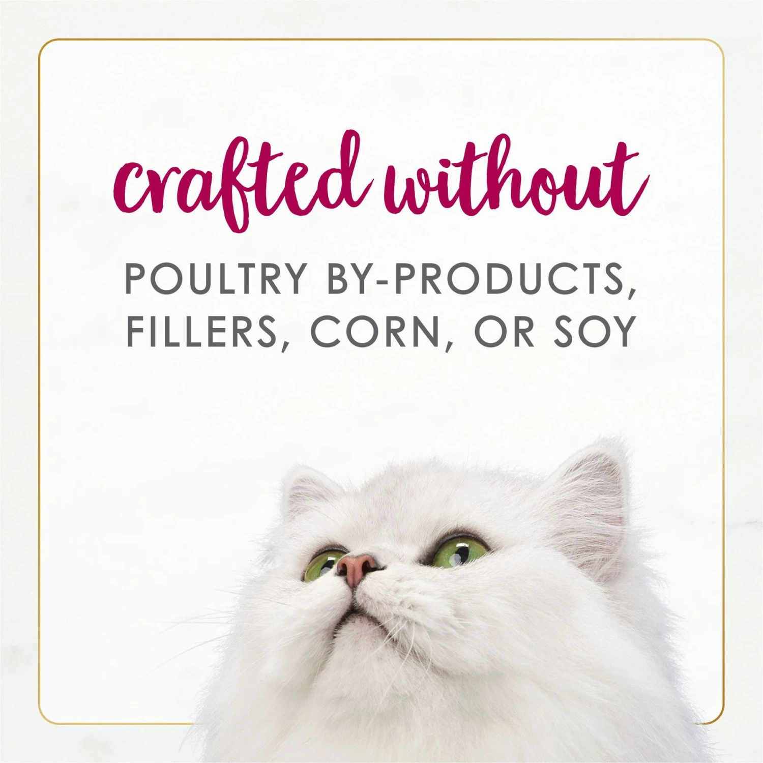 Fancy Feast Gourmet Naturals Natural White Meat Chicken & Beef Recipe In Gravy Canned Cat Food, 3-oz Can, Case Of 12 9 Fancy Feast Gourmet Naturals Natural White Meat Chicken & Beef Recipe In Gravy Canned Cat Food, 3-oz Can, Case Of 12 - Image 7