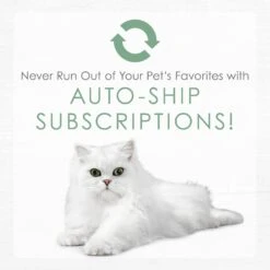 Fancy Feast Gourmet Naturals White Meat Chicken Recipe Grain-Free Pate Kitten Canned Cat Food, 3-oz Can, Case Of 12 19 Fancy Feast Gourmet Naturals White Meat Chicken Recipe Grain-Free Pate Kitten Canned Cat Food, 3-oz Can, Case Of 12 -Blue Buffalo Shop 214807 pt8. AC SS1800 V1576853089