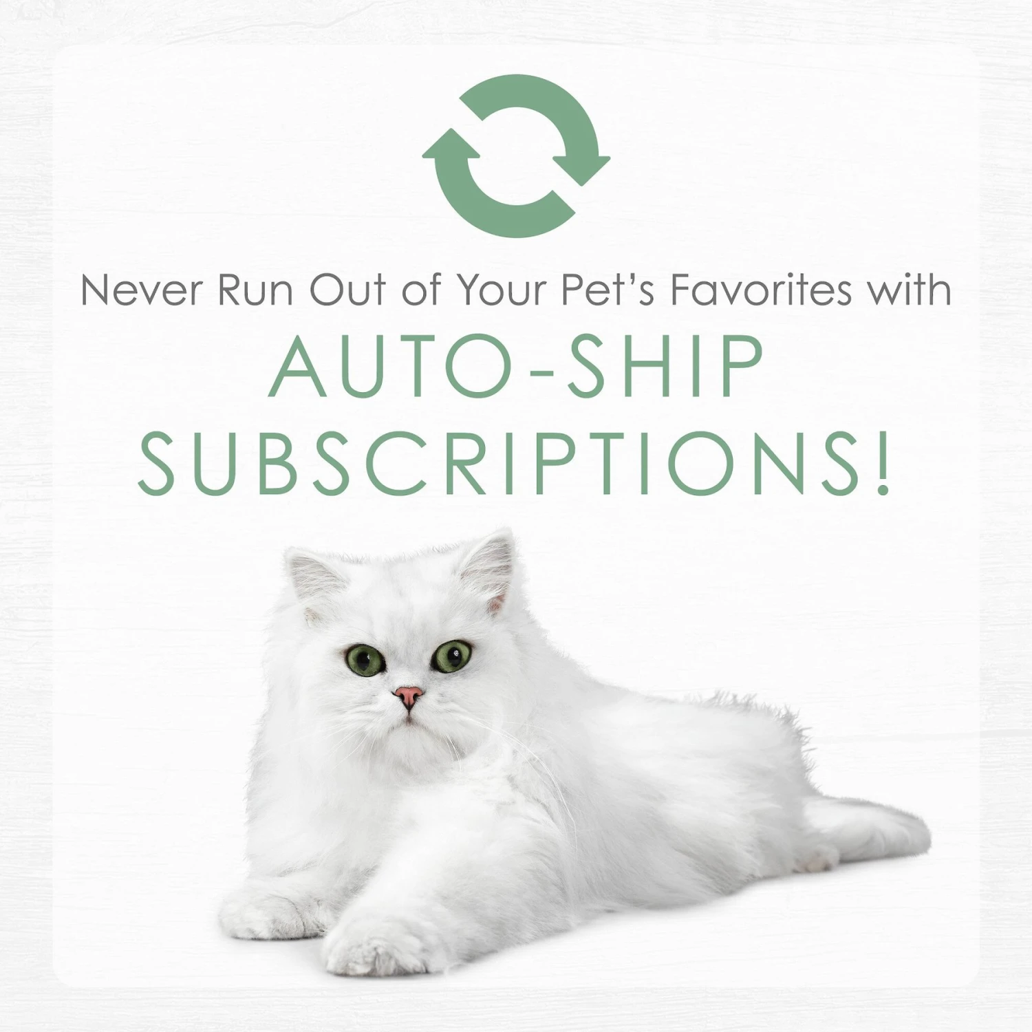 Fancy Feast Gourmet Naturals White Meat Chicken Recipe Grain-Free Pate Kitten Canned Cat Food, 3-oz Can, Case Of 12 11 Fancy Feast Gourmet Naturals White Meat Chicken Recipe Grain-Free Pate Kitten Canned Cat Food, 3-oz Can, Case Of 12 - Image 9