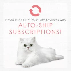 Fancy Feast Gourmet Naturals Natural Wild Alaskan Salmon Recipe Grain-Free Pate Kitten Canned Cat Food, 3-oz Can, Case Of 12 -Blue Buffalo Shop 214809 pt8. AC SS1800 V1576853334