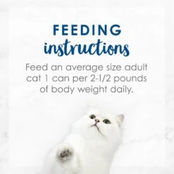 Fancy Feast Medleys Ocean Whitefish Recipe With Garden Veggies In Cheesy Bechamel Sauce Canned Cat Food, 3-oz Can, Case Of 24 -Blue Buffalo Shop 214815 pt7. AC SS1800 V1576858087