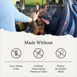 American Journey Protein & Grains Senior Salmon, Brown Rice & Vegetables Recipe Dry Dog Food, 28-lb Bag -Blue Buffalo Shop 214831 PT6. AC SS1800 V1680624917