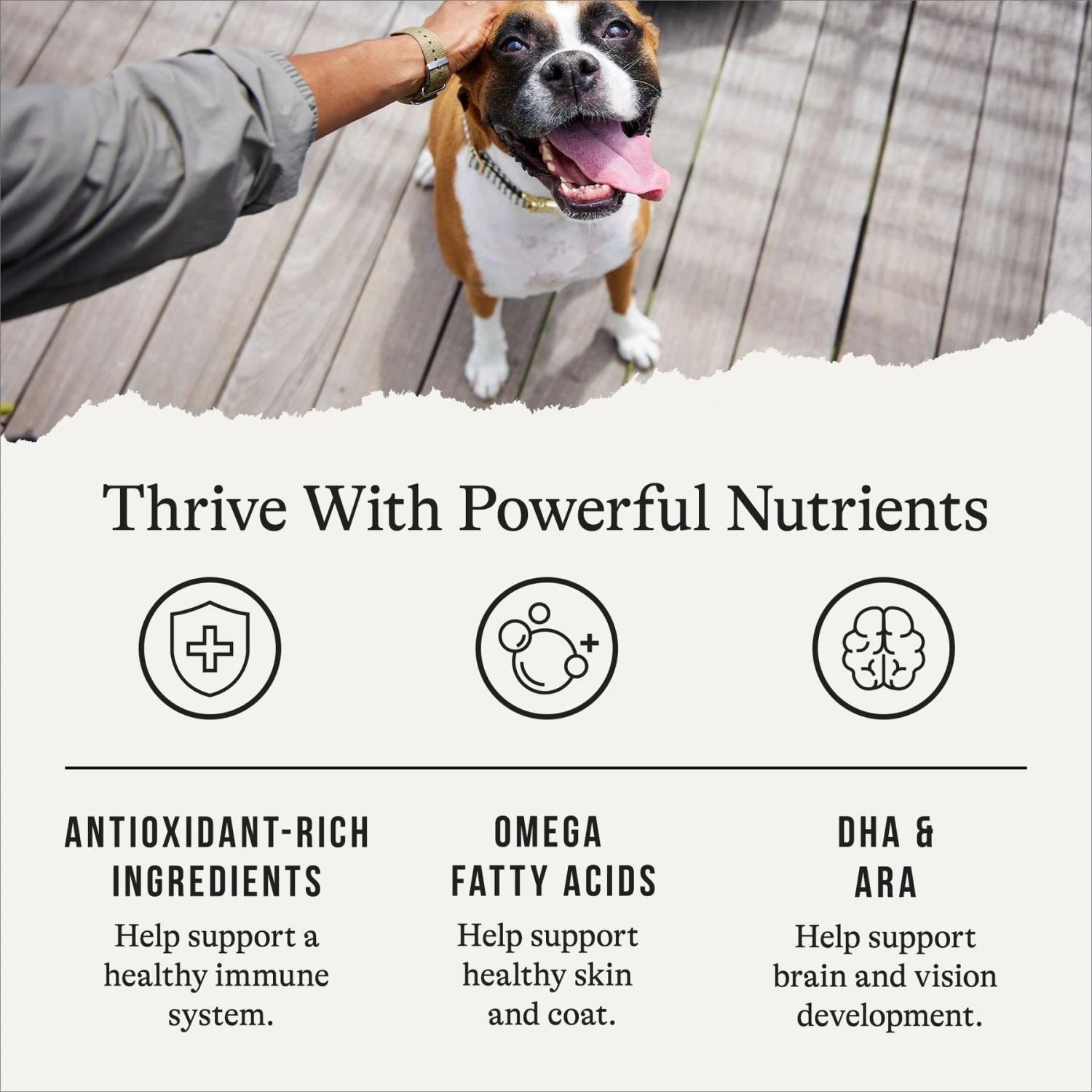 American Journey Protein & Grains Large Breed Puppy Chicken, Brown Rice & Vegetables Recipe Dry Dog Food, 28-lb Bag 7 American Journey Protein & Grains Large Breed Puppy Chicken, Brown Rice & Vegetables Recipe Dry Dog Food, 28-lb Bag - Image 5