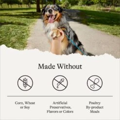 American Journey Protein & Grains Large Breed Puppy Chicken, Brown Rice & Vegetables Recipe Dry Dog Food, 28-lb Bag 17 American Journey Protein & Grains Large Breed Puppy Chicken, Brown Rice & Vegetables Recipe Dry Dog Food, 28-lb Bag -Blue Buffalo Shop 214833 PT6. AC SS1800 V1680624916