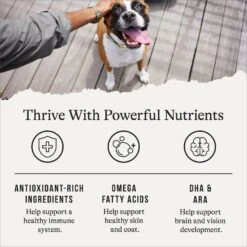 American Journey Protein & Grains Large Breed Puppy Salmon, Brown Rice & Vegetables Recipe Dry Dog Food, 28-lb Bag 15 American Journey Protein & Grains Large Breed Puppy Salmon, Brown Rice & Vegetables Recipe Dry Dog Food, 28-lb Bag -Blue Buffalo Shop 214835 PT4. AC SS1800 V1668737233